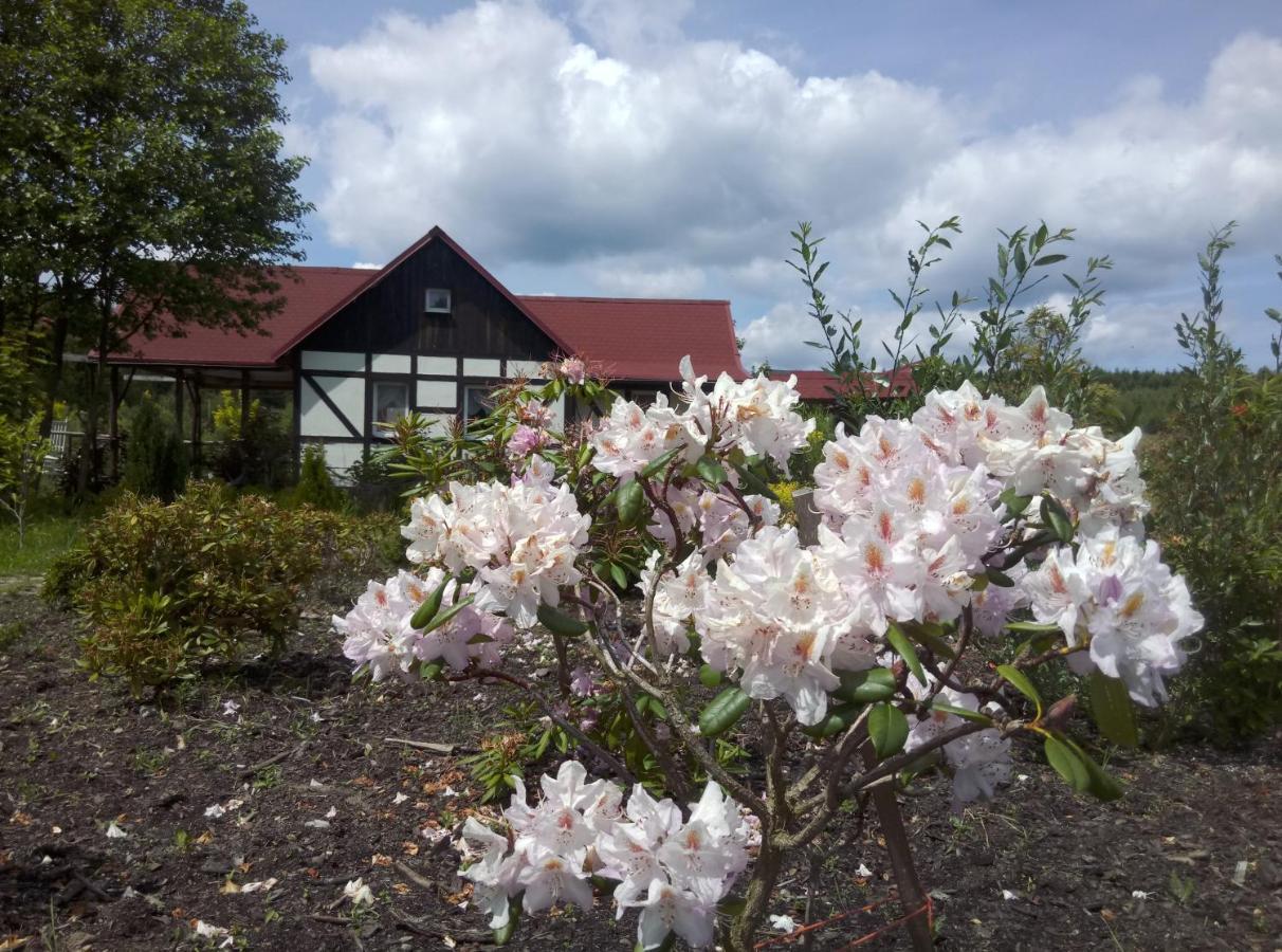 Dom Rybaka Villa Miroslawiec Ngoại thất bức ảnh